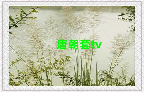 唐朝套tv